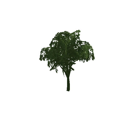 Green Tree (Type 1) Small 2